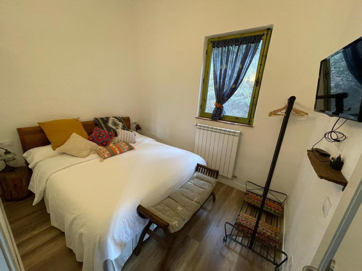 Stunning 4-Bed Cottage In Montseny Natural Park Arbúcies Zewnętrze zdjęcie